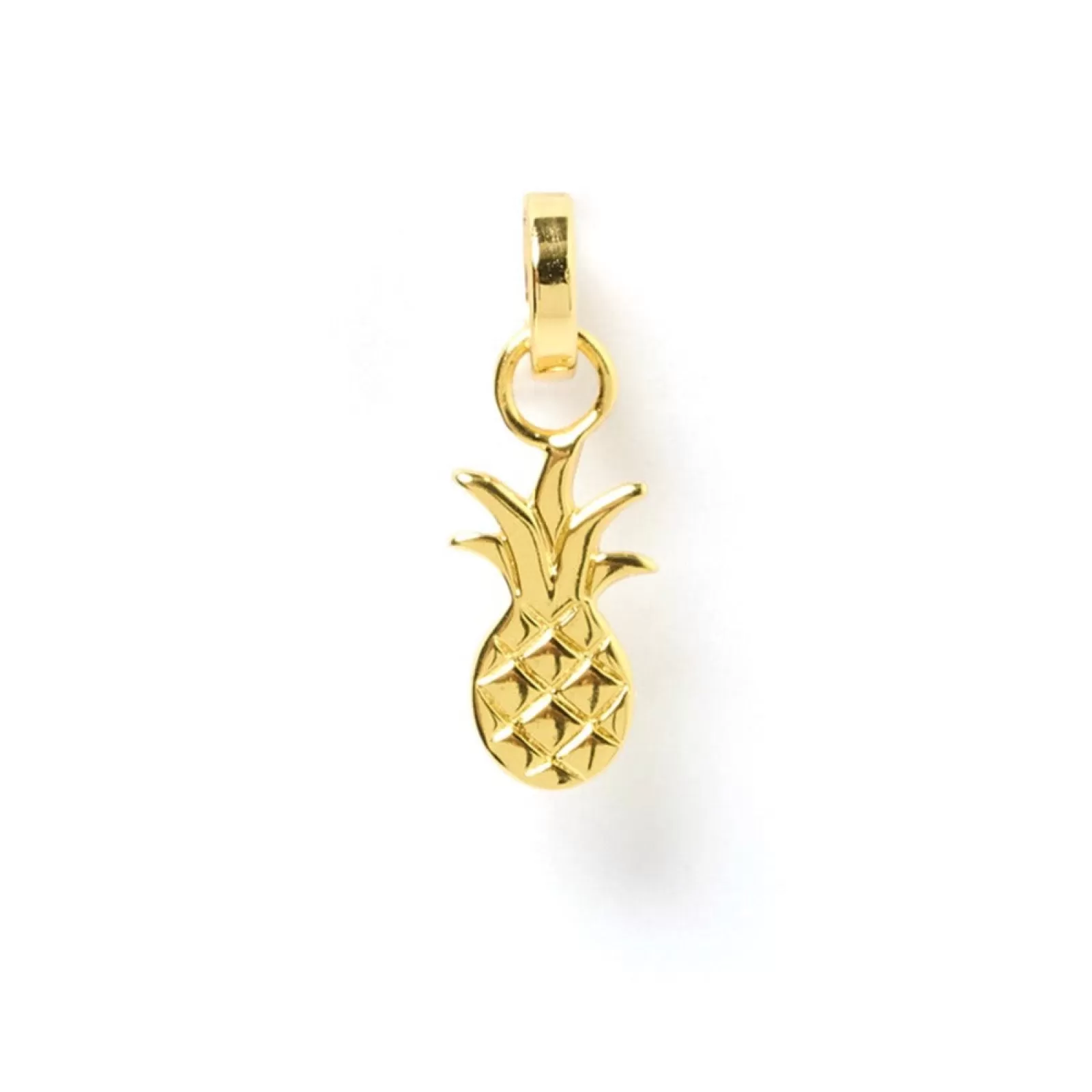 Arms Of Eve Charms | Ananas Charm