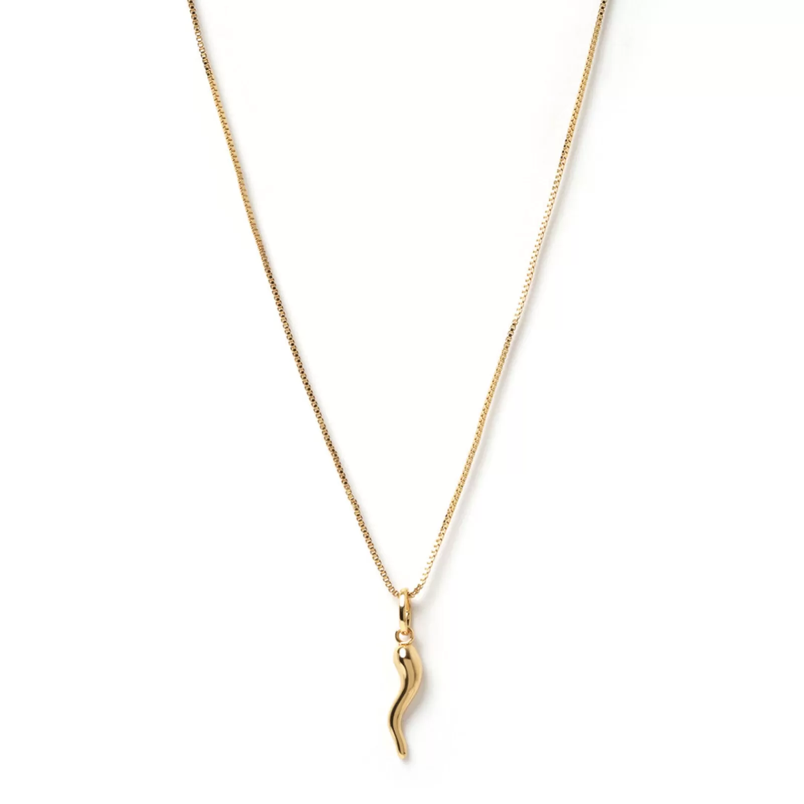 Arms Of Eve Gold | Pendant | Cornicello Gold Charm Necklace - Large