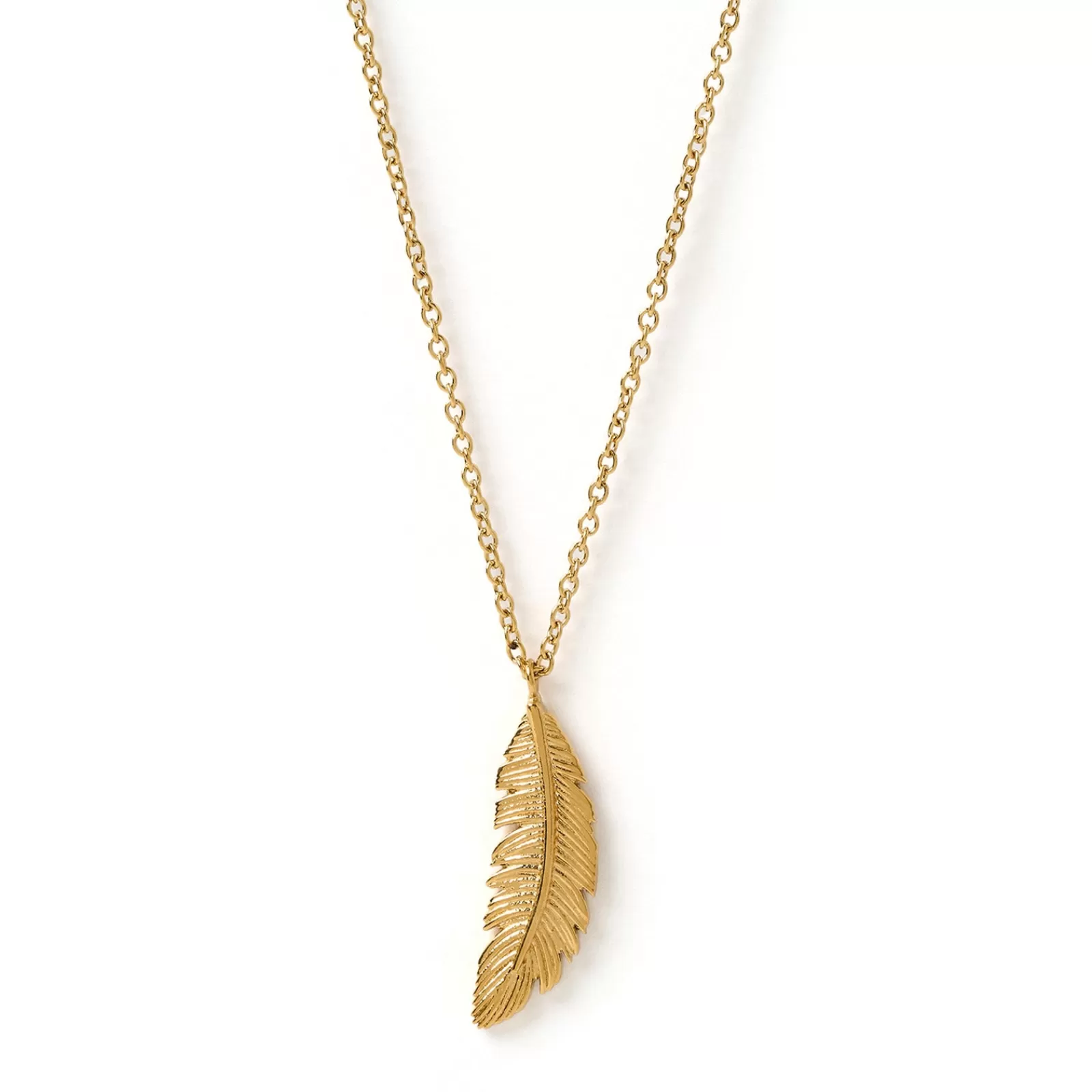 Arms Of Eve Gold | Pendant | Feather Gold Necklace