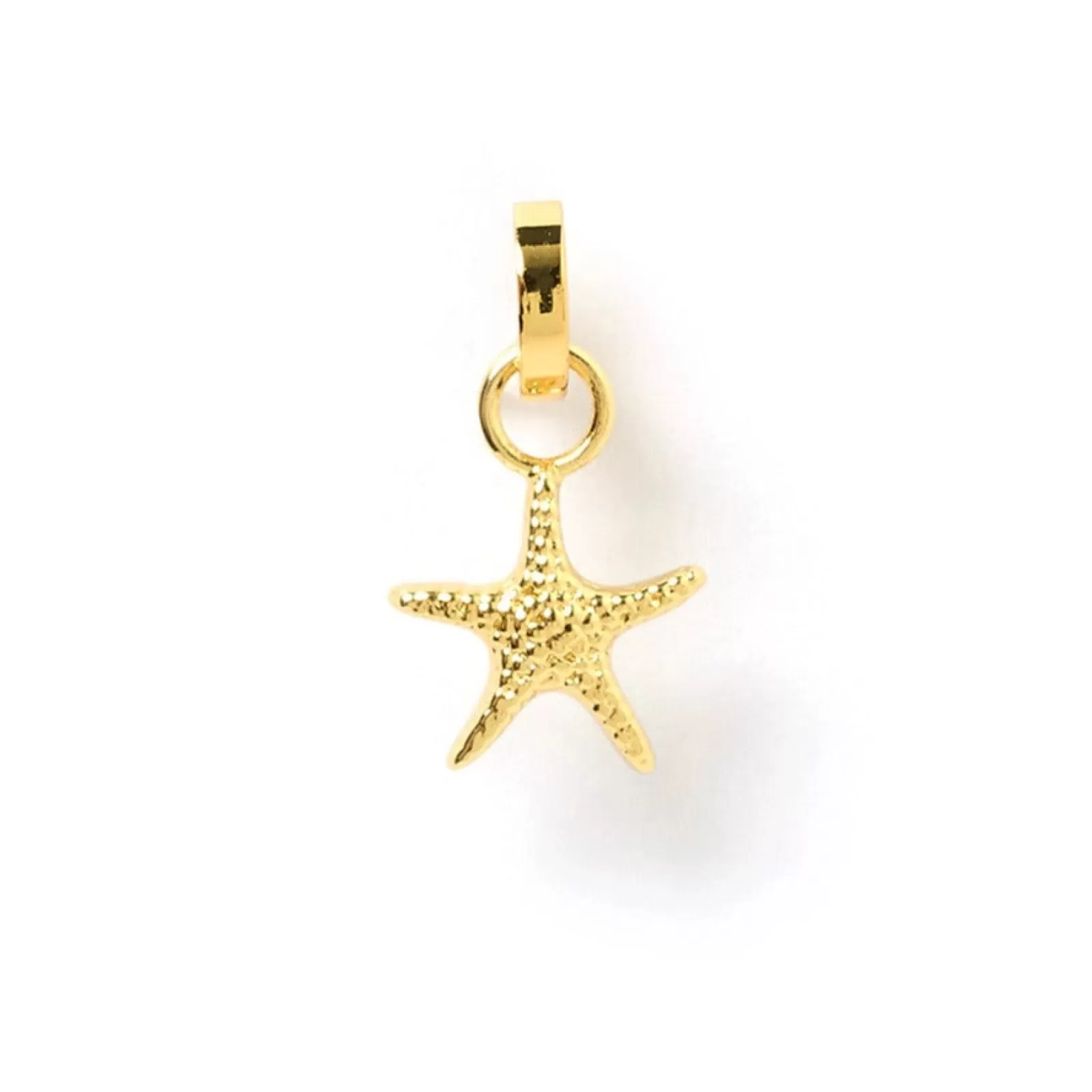 Arms Of Eve Charms | Sea Star Charm