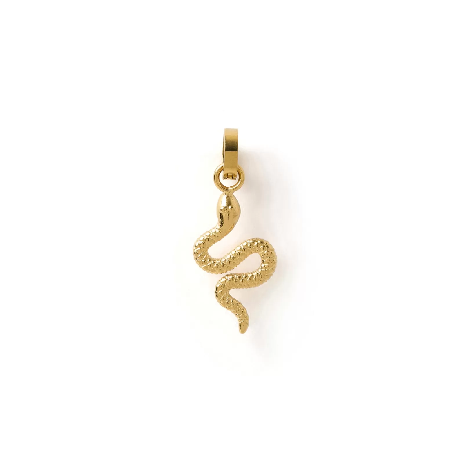 Arms Of Eve Charms | Serpent Charm