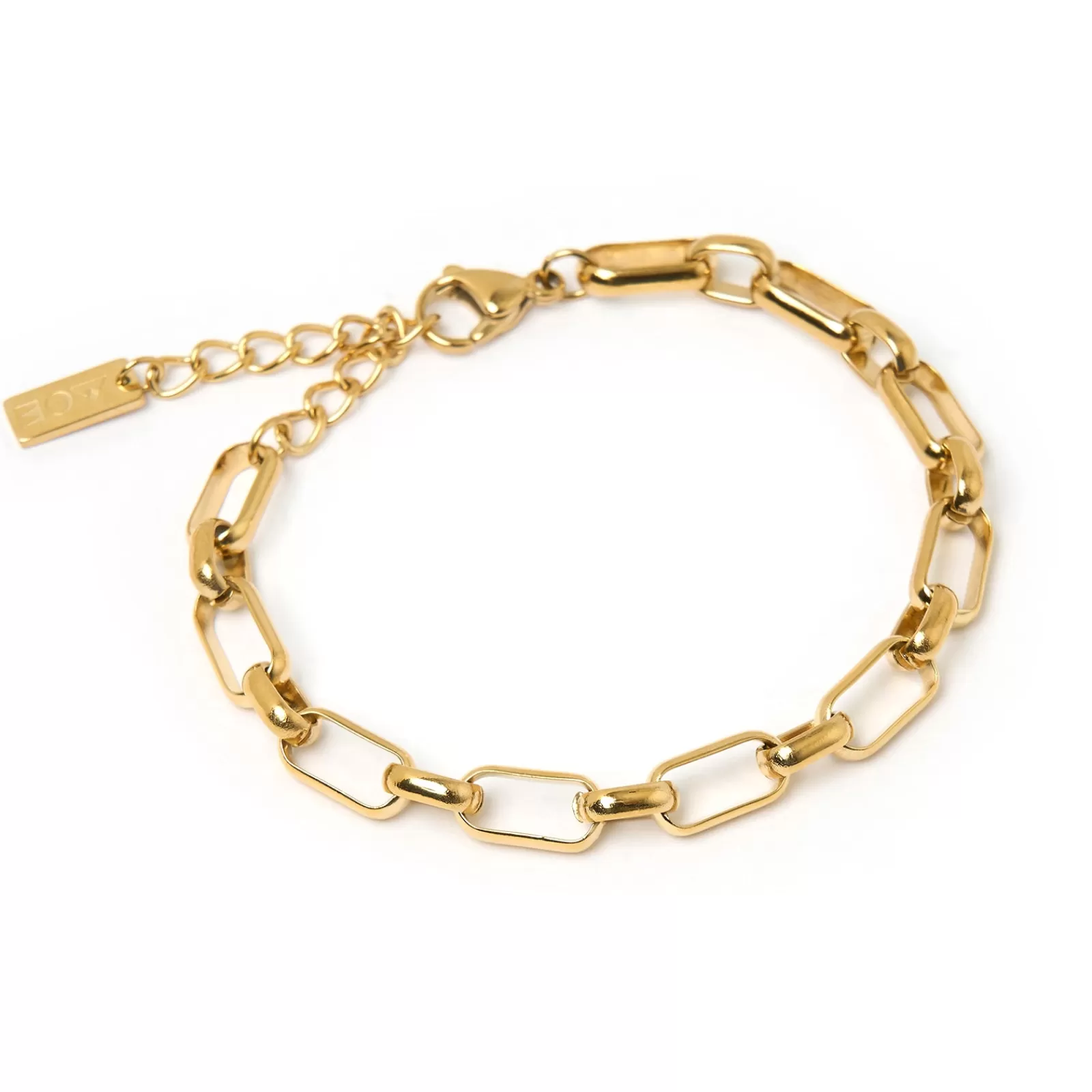 Arms Of Eve Gold | Charms | Terra Gold Bracelet