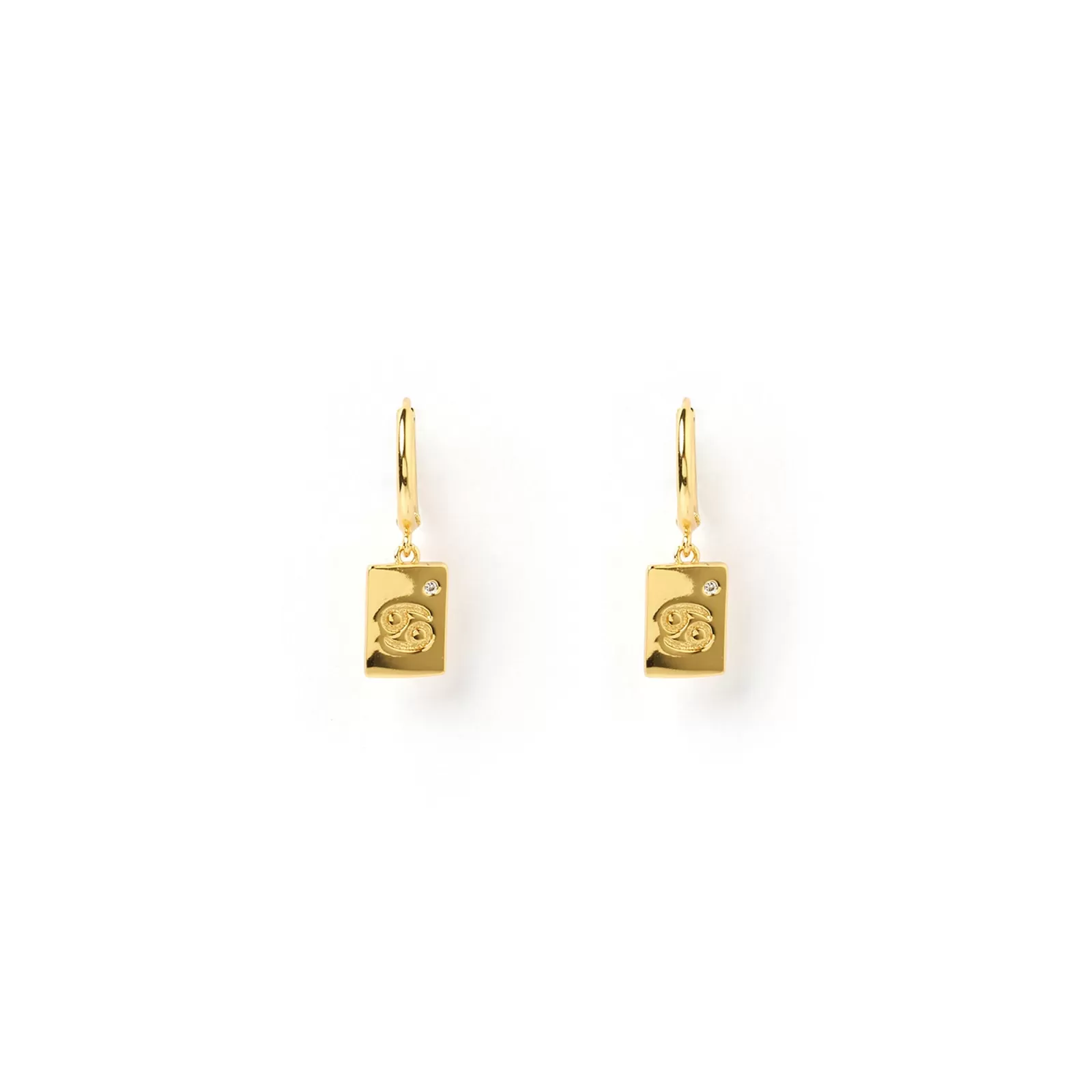 Arms Of Eve Gold | Charms | Zodiac Gold Tag Earrings