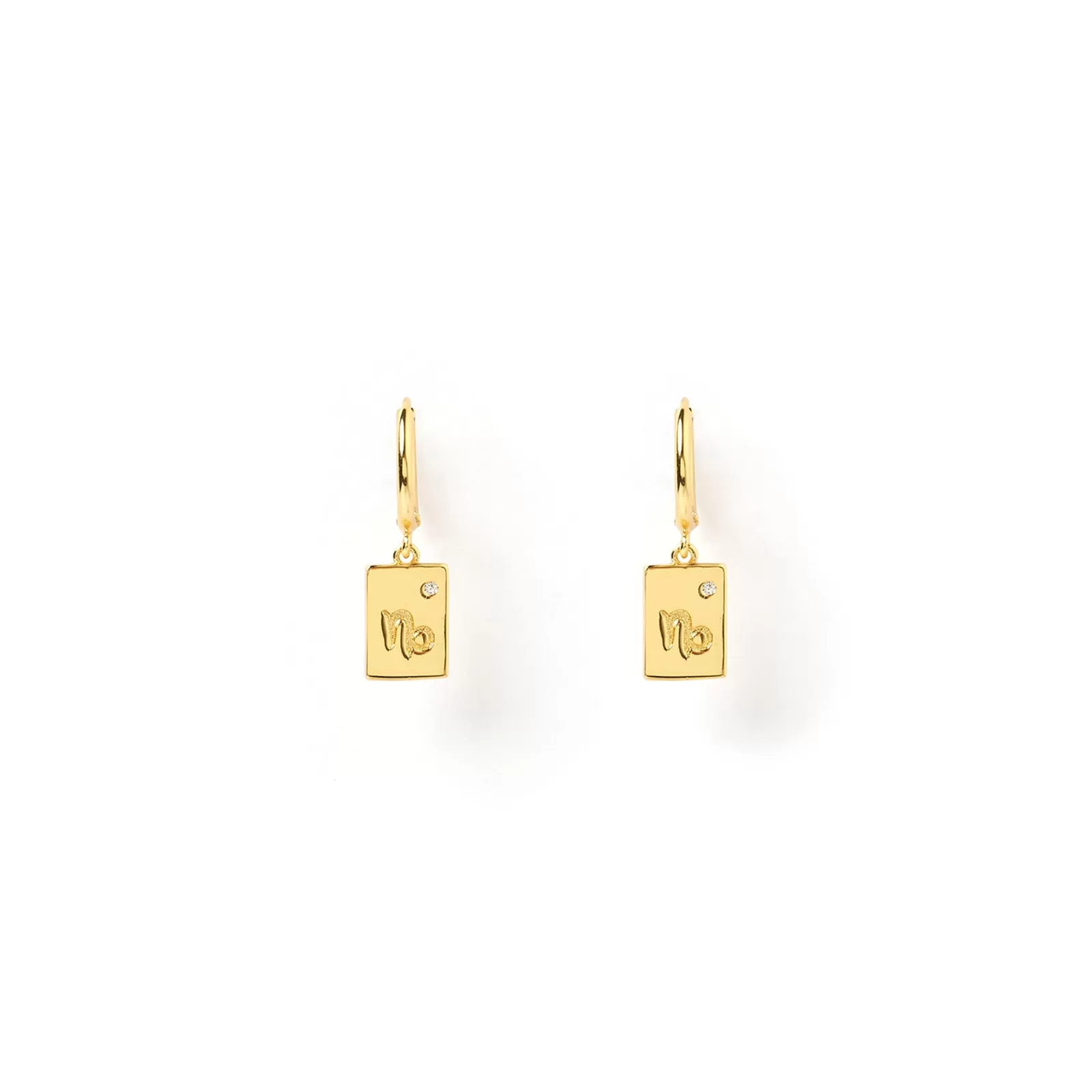 Arms Of Eve Gold | Charms | Zodiac Gold Tag Earrings