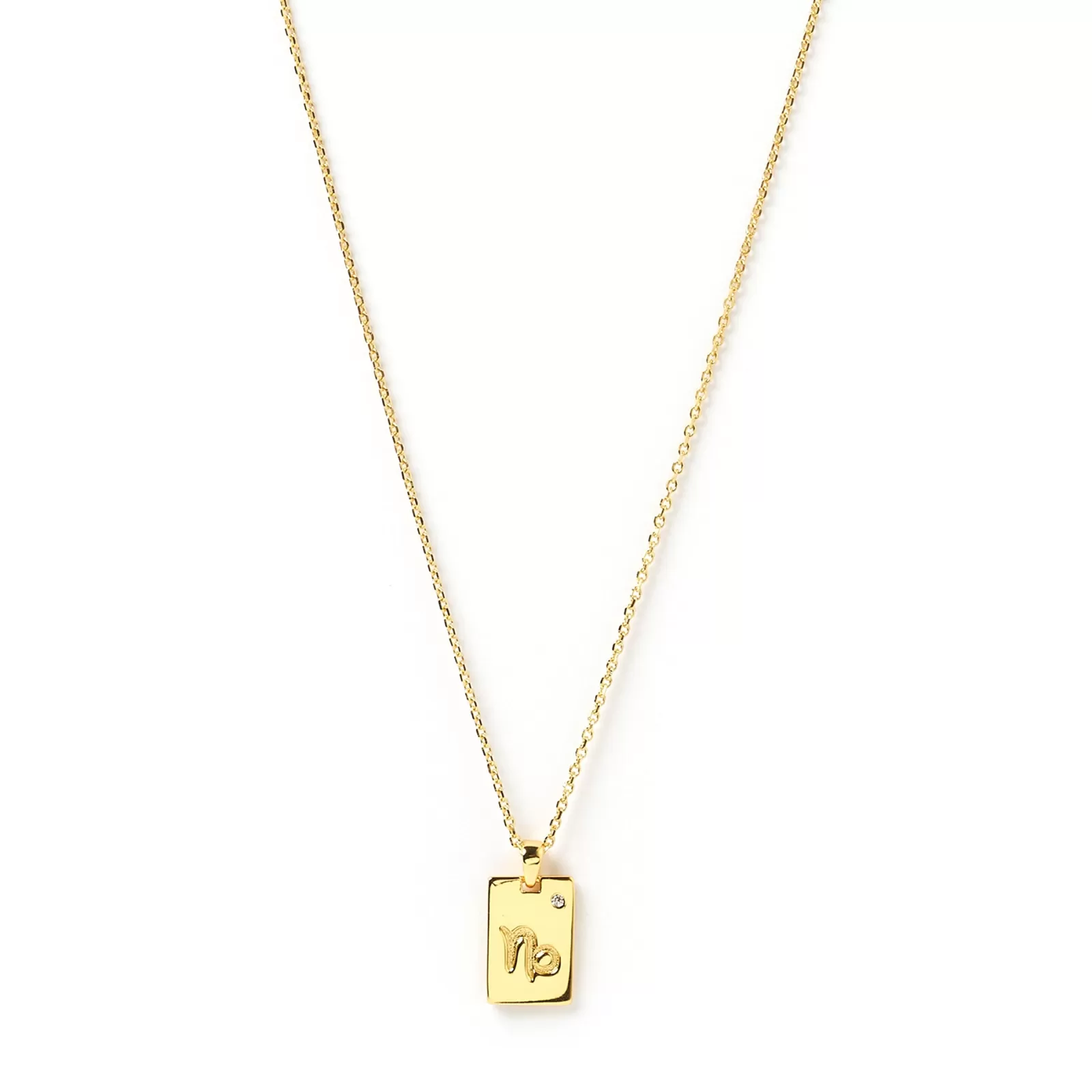 Arms Of Eve Gold | Pendant | Zodiac Gold Tag Necklace