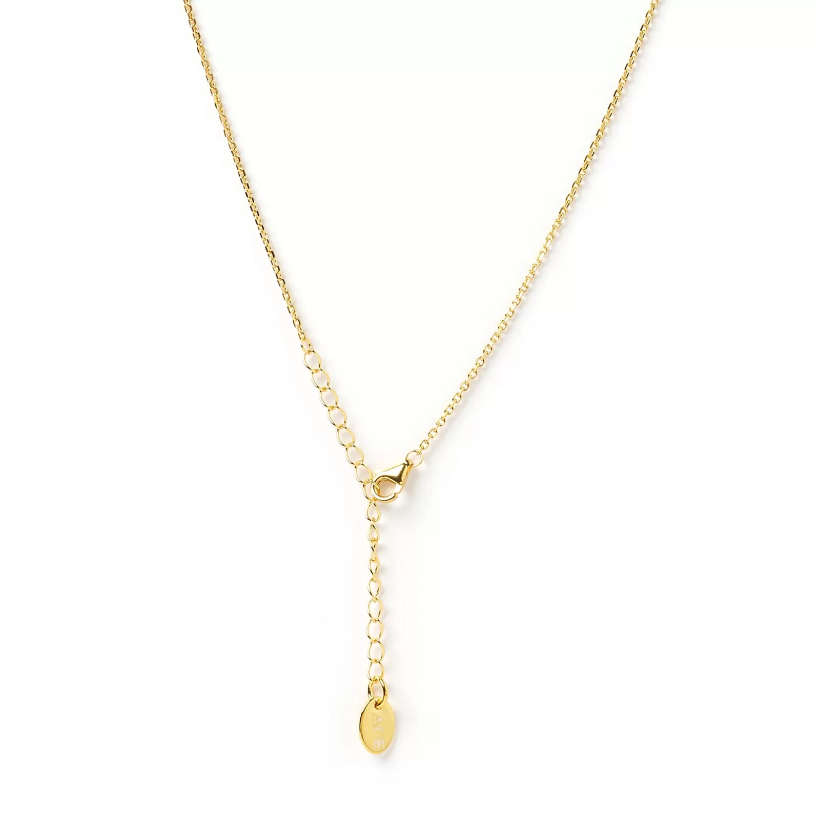 Arms Of Eve Gold | Pendant | Zodiac Gold Tag Necklace